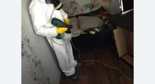 Санитарная обработка в Кашире