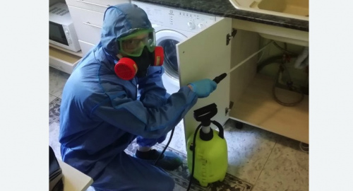 Уничтожение муравьев в квартире. Кашира