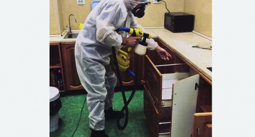 Уничтожение насекомых в квартире. Кашира