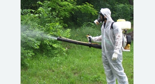 Дезинфекция территории от клещей. Кашира