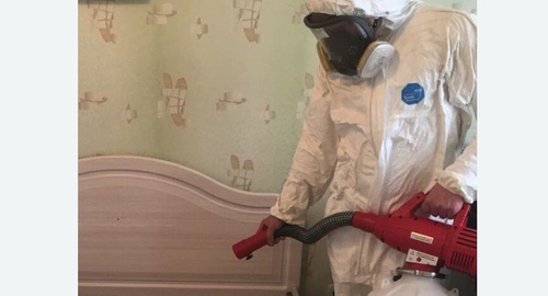 Уничтожение клещей в квартире. Кашира