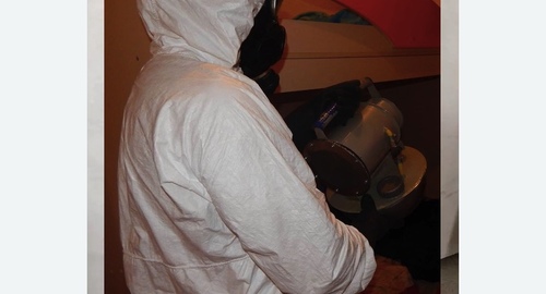 Обработка от муравьев в квартире в Кашире