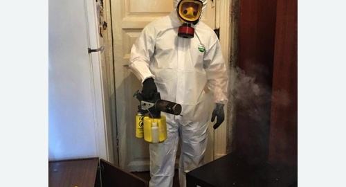 Дезинфекция от муравьев в квартире в Кашире