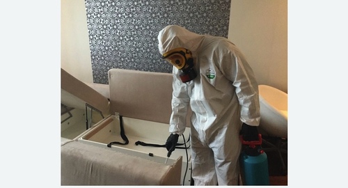 Дезинсекция в Кашире