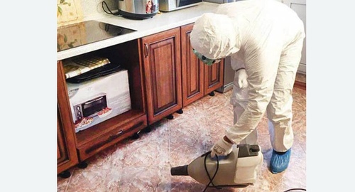 Обработка квартиры от клопов в Кашире