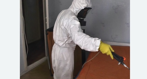 Дезинсекция насекомых в Кашире