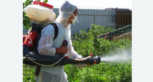 Акарицидная обработка территории  в Кашире