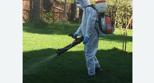 Обработка участка от клещей в Кашире