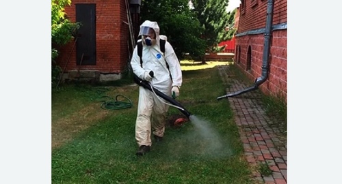 Обработка территории от клещей. Кашира