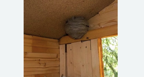 Обработка от ос в Кашире