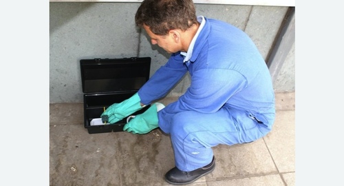 Уничтожение мышей в квартире в Кашире