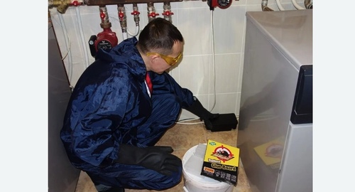 Дератизация крыс. Кашира