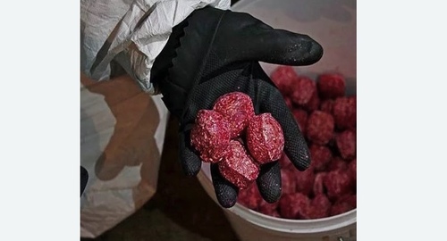 Травля крыс. Кашира