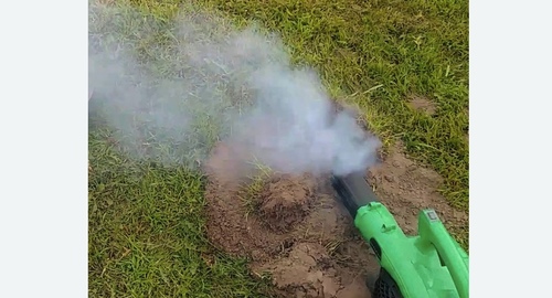 Обработка от кротов в Кашире