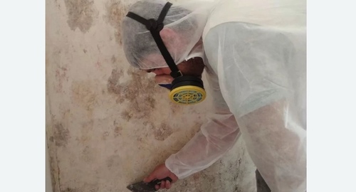 Обработка стен от плесени в Кашире