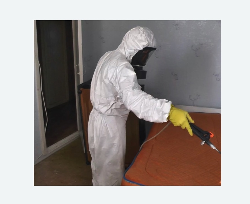 Дезинсекция помещений Дезинсекция помещений