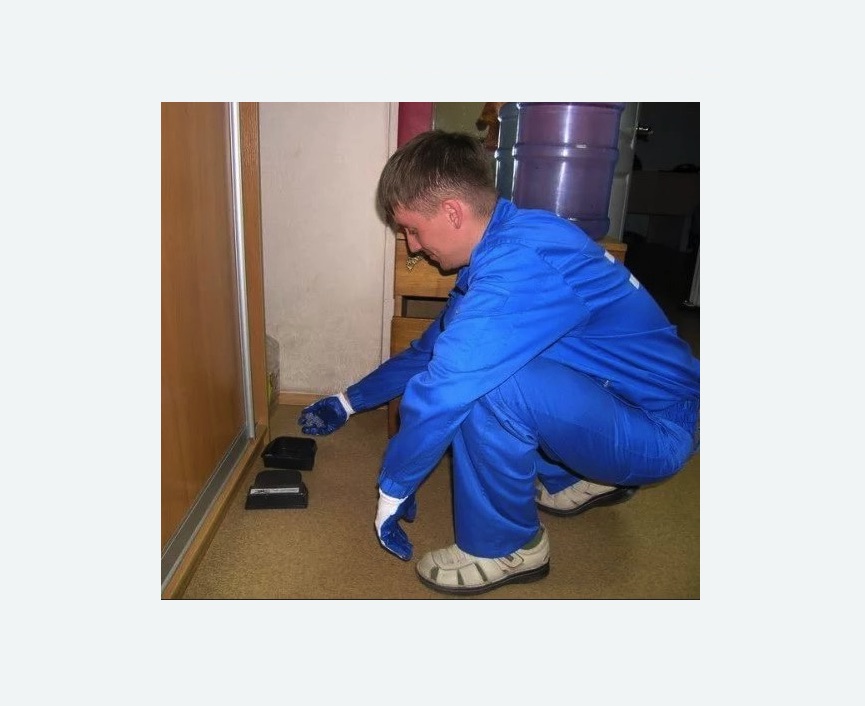 Дератизация крыс Дератизация крыс в Кашире