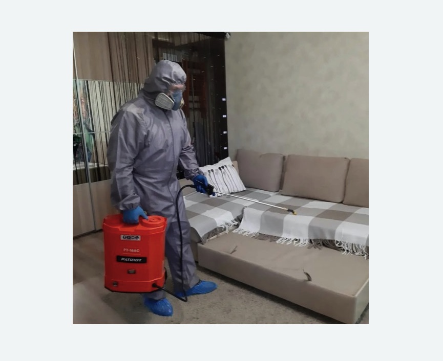 Обработка квартиры от блох в Кашире Обработка квартиры от блох