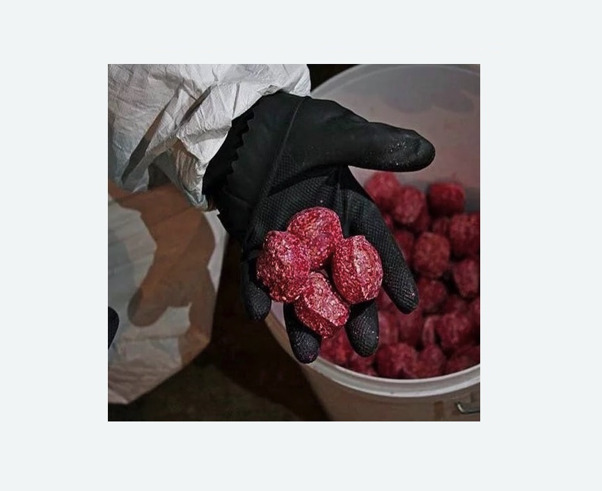 Обработка от крыс Обработка от крыс в Кашире