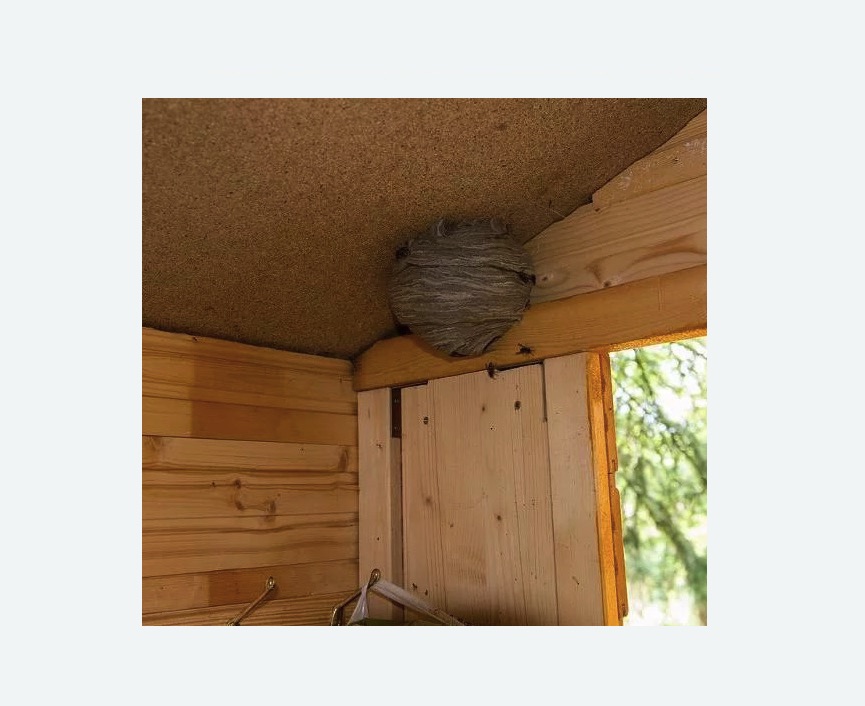 Обработка от ос в Кашире Обработка от ос