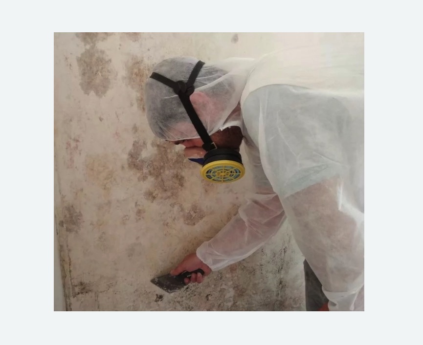 Обработка стен от плесени Обработка стен от плесени в Кашире