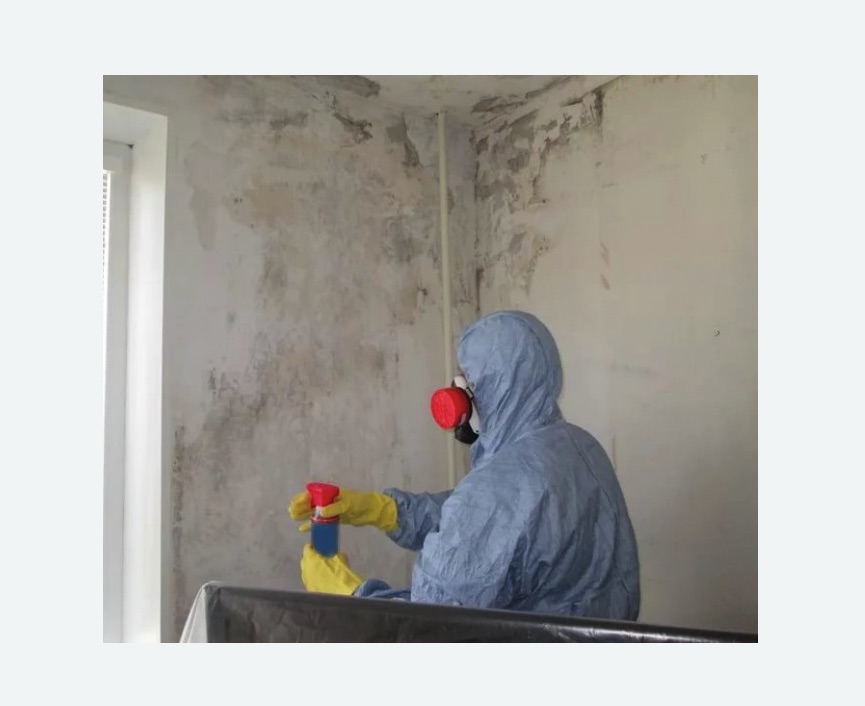 Удаление плесени в квартире Удаление плесени в квартире в Кашире