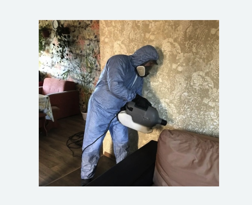 Уничтожение блох в квартире. Кашира Уничтожение блох в квартире