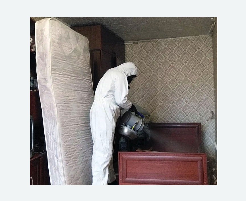 дезинфекция от клопов в Кашире