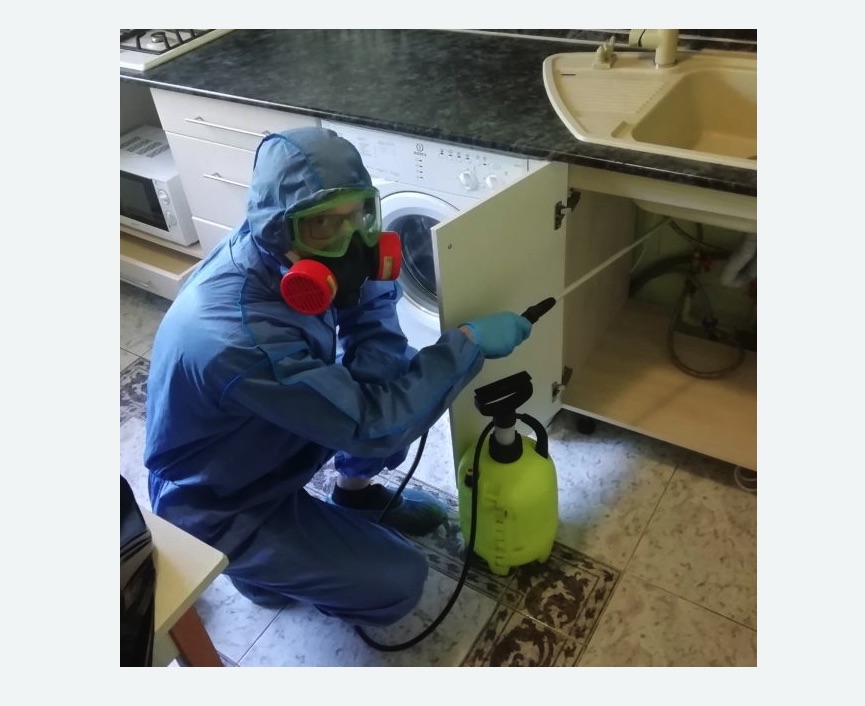 обработка от муравьев в квартире обработка от муравьев в квартире в Кашире