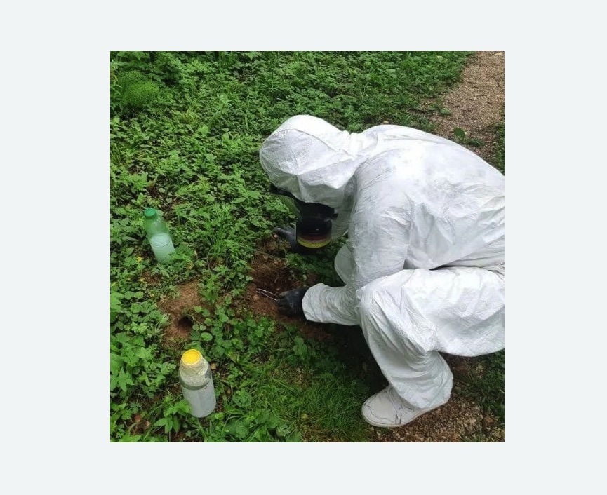 уничтожение кротов на участке уничтожение кротов на участке в Кашире