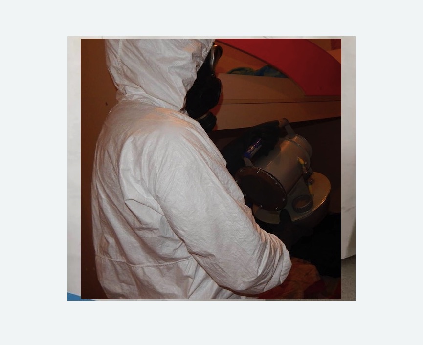 Дезинфекция от муравьев Дезинфекция от муравьев в Кашире