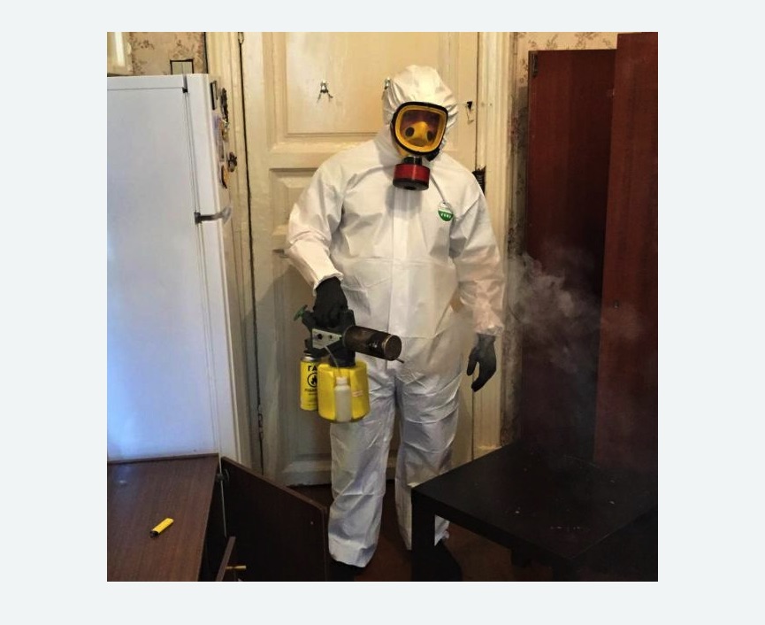 уничтожение муравьев в квартире уничтожение муравьев в квартире в Кашире